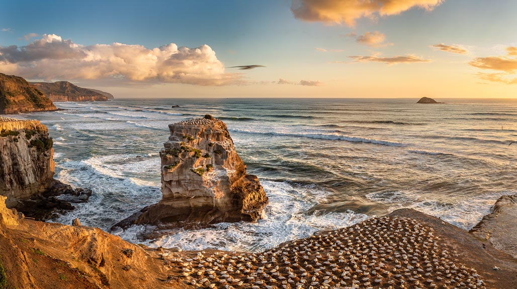 Muriwai
