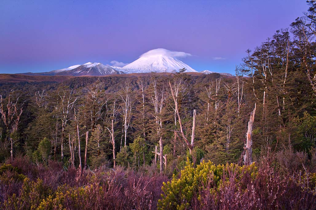 Tongariro Evening